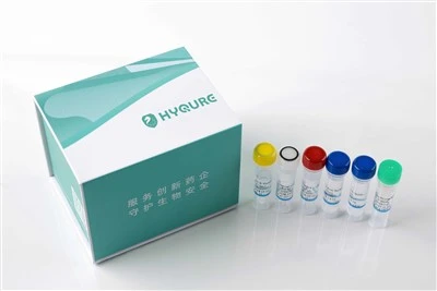 Bacterial DNA Detection Kit (PCR-fluorescent Probe Method) [HYM008]