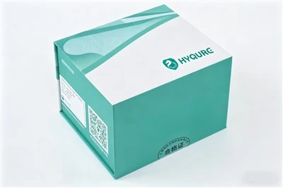 Bacterial&Fungal DNA Extraction and Purification Kit (magnetic Bead Method) [HYM006]