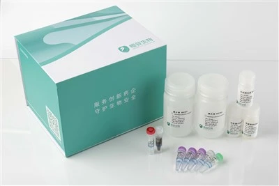 Host Cell Residual DNA Sample Nucleic Acids Extraction Kit-plus [HYS001-plus]